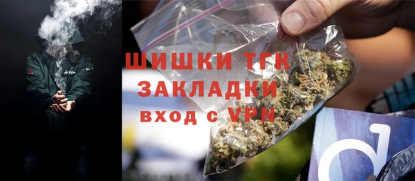 шишки Армянск