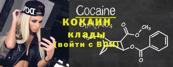 шишки Армянск