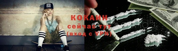 мяу мяу мука Аркадак