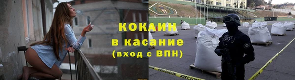 шишки Армянск