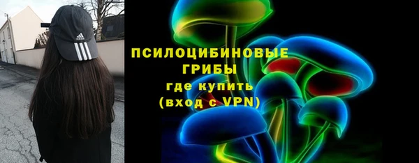 МДПВ Арсеньев