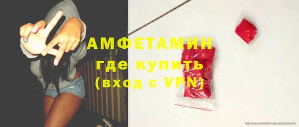 шишки Армянск