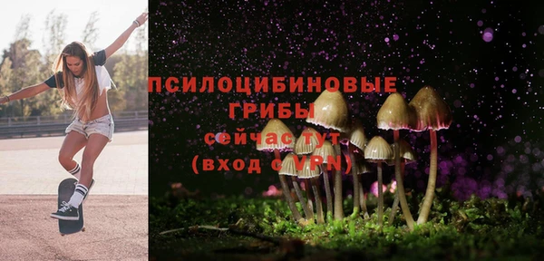 шишки Армянск
