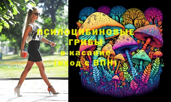 мяу мяу мука Аркадак