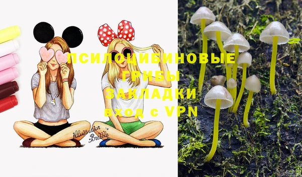 мяу мяу мука Аркадак
