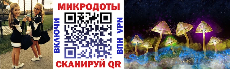 наркошоп  Ахтырский  Галлюциногенные грибы Psilocybine cubensis 